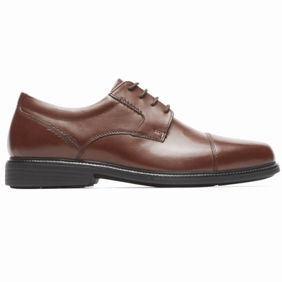 Sapatos Oxfords Rockport Charles Road Cap Toe Homem Marrom PT-87091